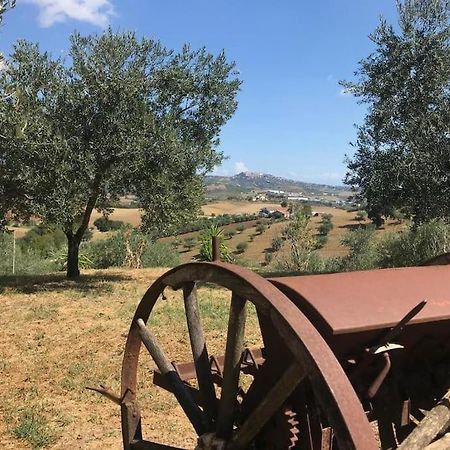 Appartamento Olivo Collecorvino Eksteriør billede
