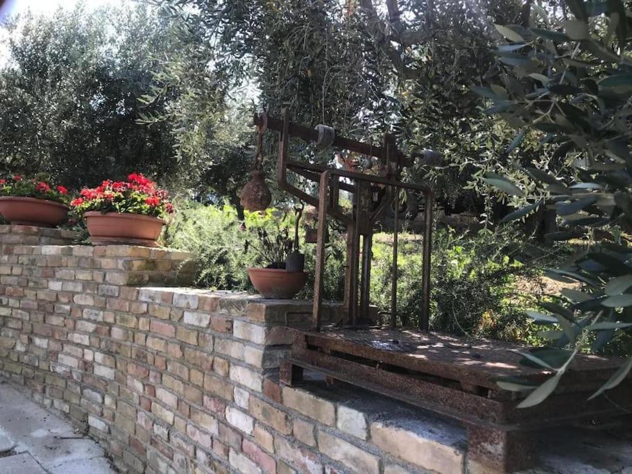 Appartamento Olivo Collecorvino Eksteriør billede